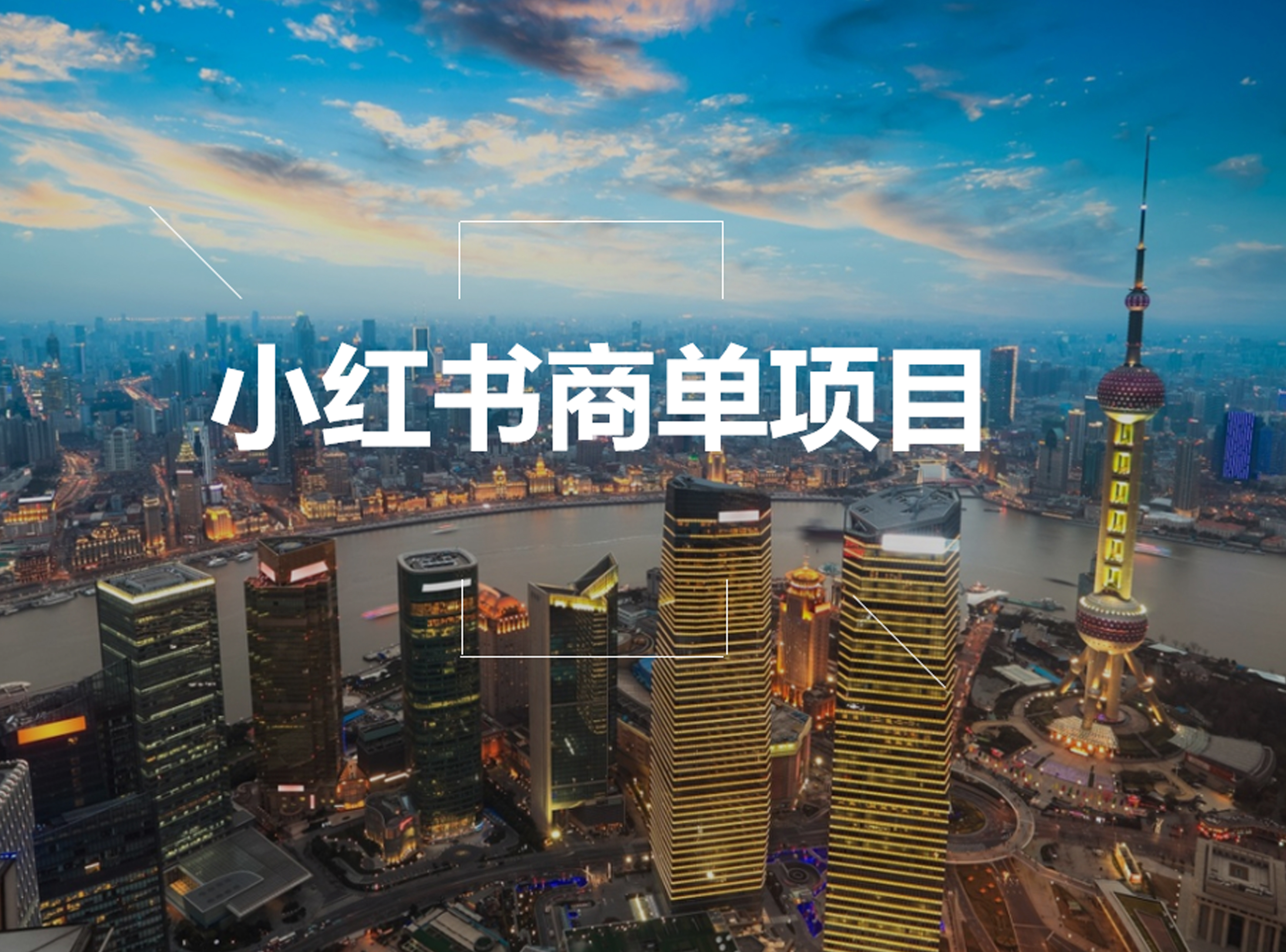 小红书商单项目
