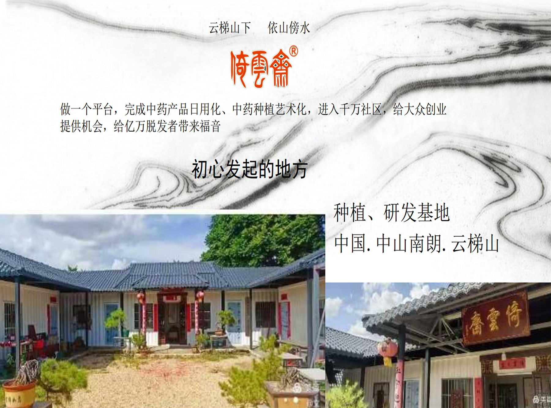 头发保健品及倚云斋养发品牌产业化项目