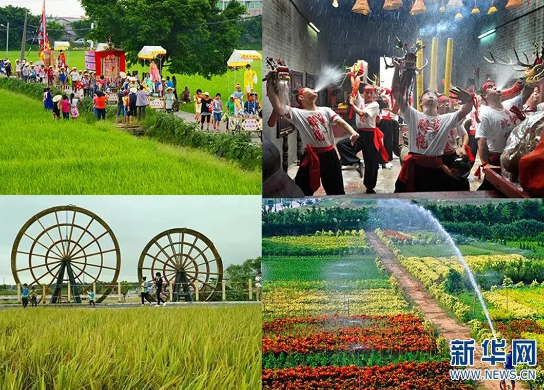 文旅融合风正劲，回乡创业正当时，南朗青年当归雁！