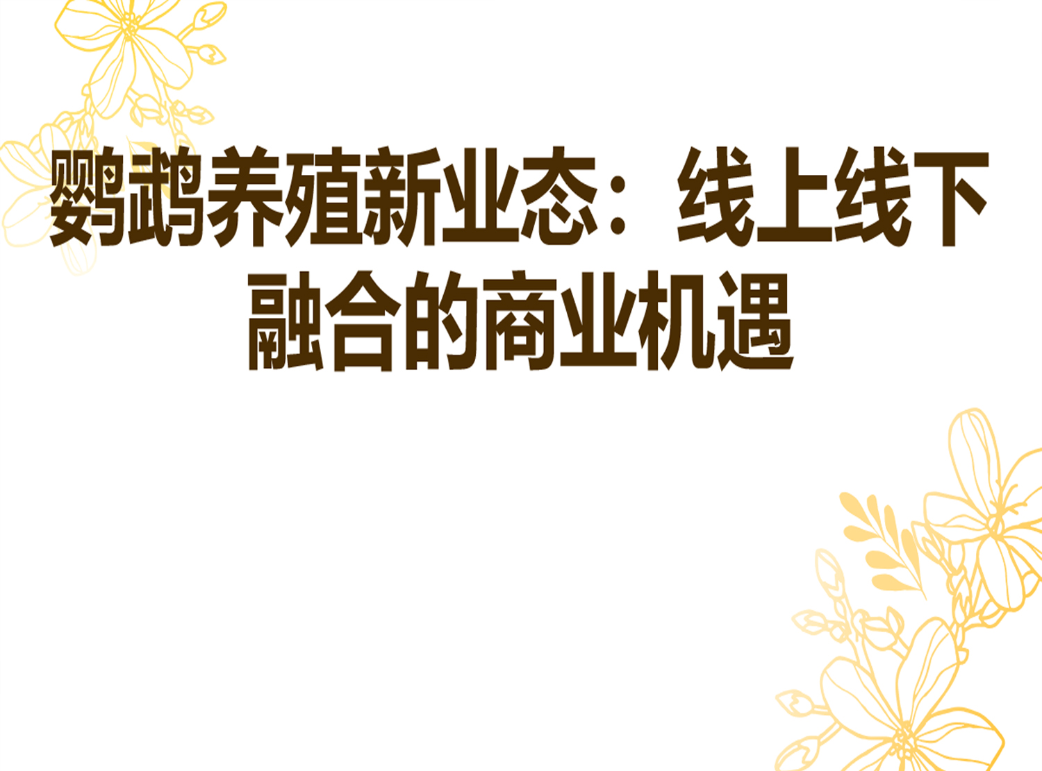 宠物鹦鹉养殖及销售